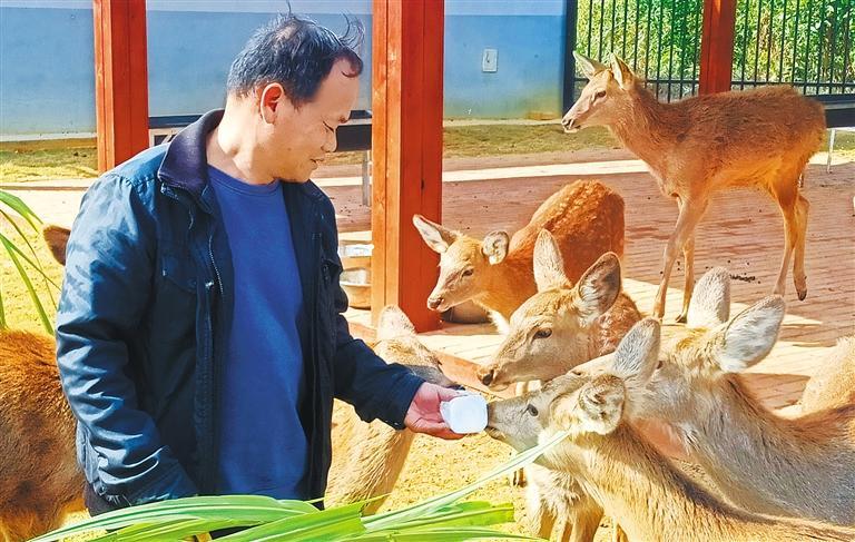 质量发展产业调研】林下生金冰球突破豪华版app【高